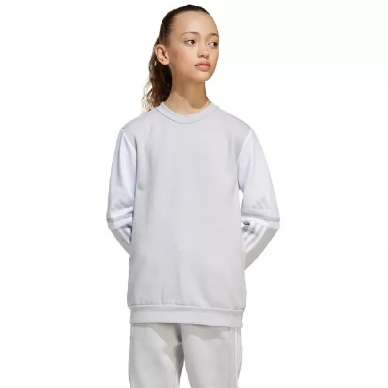 adidas Squadra 25 Sweat Crew vaikiškas megztinis pilkas JD4824 152cm