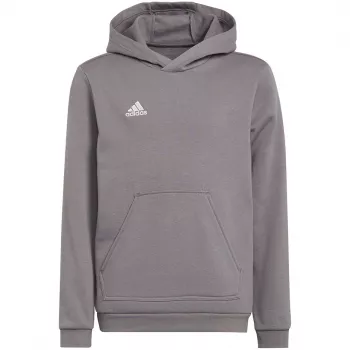 adidas Entrada 22 vaikiškas gobtuvas su gobtuvu, pilkas, 152 cm