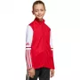 adidas Squadra 25 treniruočių viršutinė dalis vaikams raudona JD4797 152cm