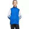 adidas Squadra 25 Training vaikų ilgomis rankovėmis marškinėliai Team Royal Blue/White 164cm