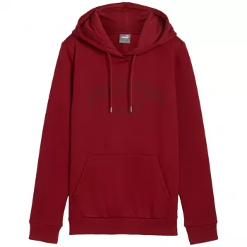 PUMA vyriškas Essentials+ Logo LAB gobtuvas FL bordo spalvos L dydžio