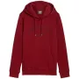 PUMA vyriškas Essentials+ Logo LAB gobtuvas FL bordo spalvos L dydžio