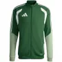 adidas vyriški Tiro 26 Competition treniruočių marškinėliai žali KA7679 L