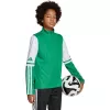 adidas Squadra 25 treniruočių viršus vaikams Team Green/White JP3160 128cm