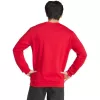 adidas Entrada 26 vyriški treniruočių marškinėliai Team Power Red/White, dydis S