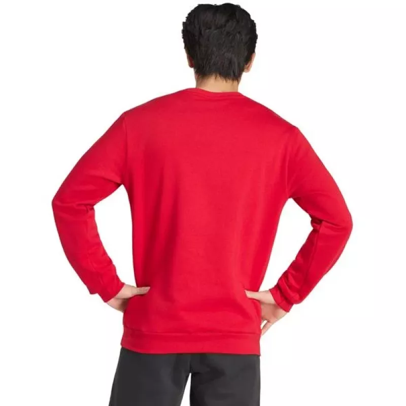 adidas Entrada 26 vyriški treniruočių marškinėliai Team Power Red/White, dydis S