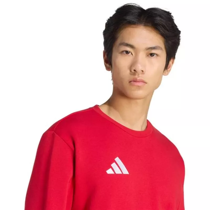 adidas Entrada 26 vyriški treniruočių marškinėliai Team Power Red/White, dydis S