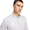 adidas Entrada 26 vyriška treniruočių striukė pilka, S dydis