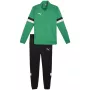 PUMA vyriškas Team Rise sportinis kostiumas Forest Night / Puma Black 2XL