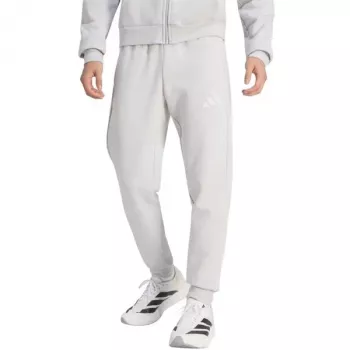 adidas Entrada 26 vyriškos sportinės kelnės pilkos, S dydis (JZ9139)