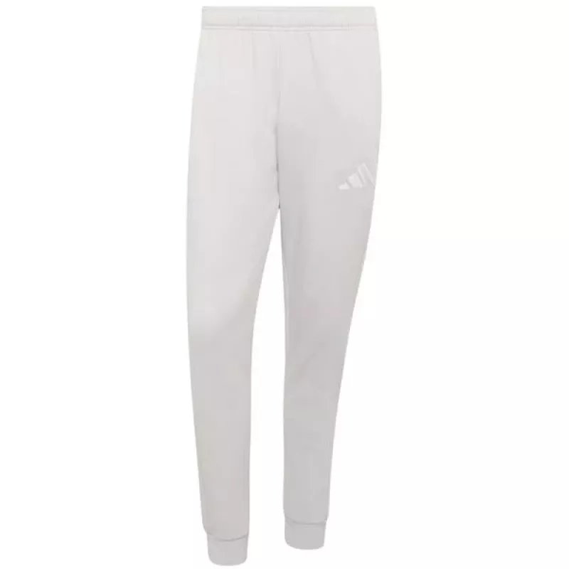 adidas Entrada 26 vyriškos sportinės kelnės pilkos, S dydis (JZ9139)