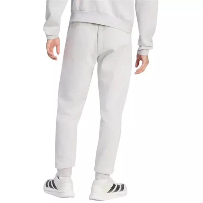 adidas Entrada 26 vyriškos sportinės kelnės pilkos, S dydis (JZ9139)