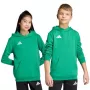 adidas Entrada 26 vaikiškas gobtuvas - žalias - 164 cm dydis (jaunimo XL) JZ6563