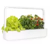 Click & Grow Smart Garden 9 LED apšvietimo sodo įrenginys - 9 augalų talpos, savaiminis laistymas, baltas