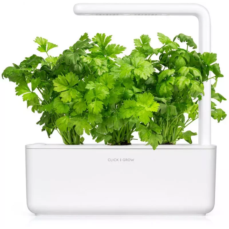 Click & Grow lapinių salierų augalų kapsulės Smart Garden sodui, 3 vnt. (SGR97X3)