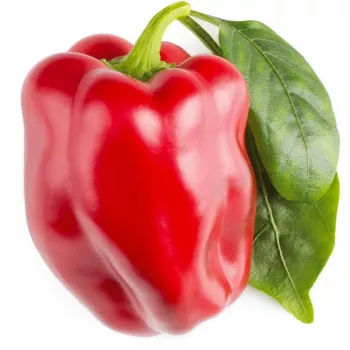 Click & Grow SGR63X3 Smart Garden 3 papildymo kapsulės (3 vnt., biologiškai skaidžios, su sėklomis, Smart Soil)