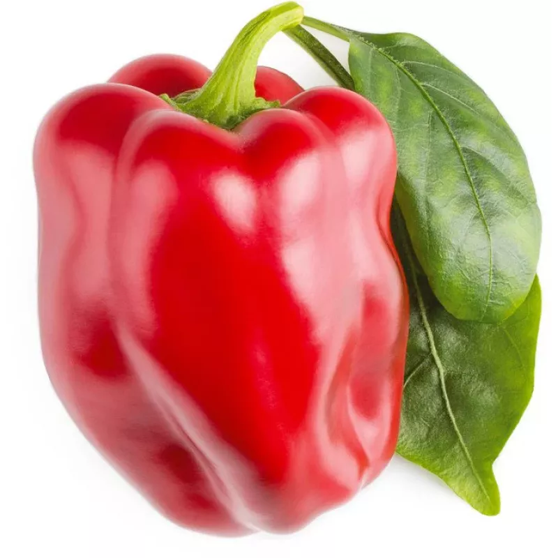 Click & Grow SGR63X3 Smart Garden 3 papildymo kapsulės (3 vnt., biologiškai skaidžios, su sėklomis, Smart Soil)