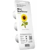 Click & Grow mažųjų saulėgrąžų augalų kapsulės Smart Garden sodui, 3 vnt. (SGR65X3)
