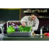 Click & Grow Smart Garden 9 išmanusis sodas, pilkas (SG9S8UNI)