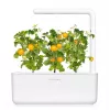 Click and Grow Smart Garden papildymo kapsulės 3 vnt. Mini pomidorai
