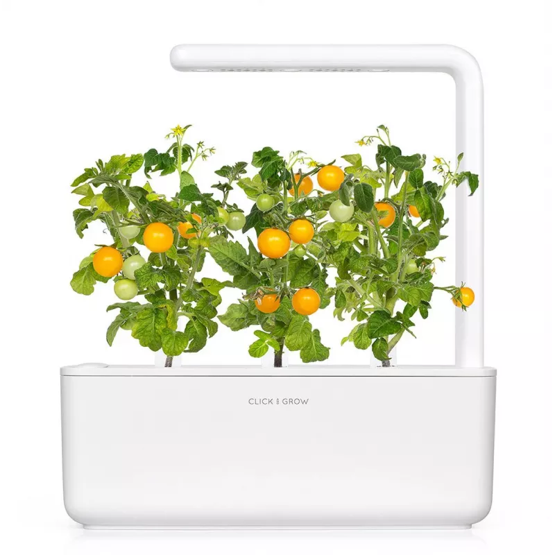 Click and Grow Smart Garden papildymo kapsulės 3 vnt. Mini pomidorai