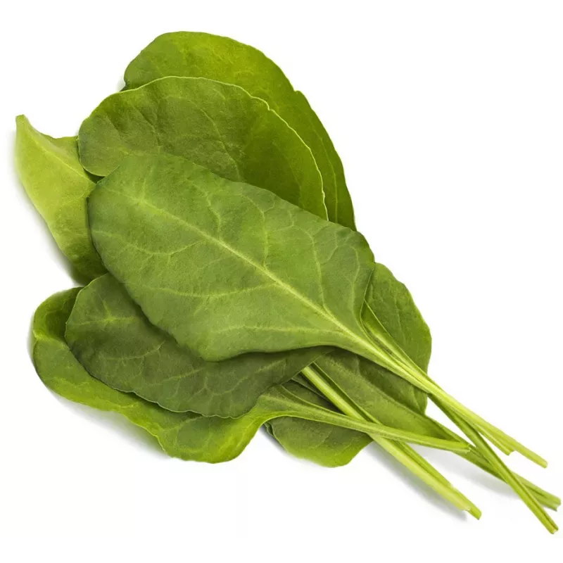 Click & Grow Smart Garden papildymas Green Chard, 3 augalų kapsulės (SGR64X3)