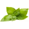 Click & Grow citrininių bazilikų augalų kapsulės Smart Garden sodui, 3 vnt. (SGR76X3)