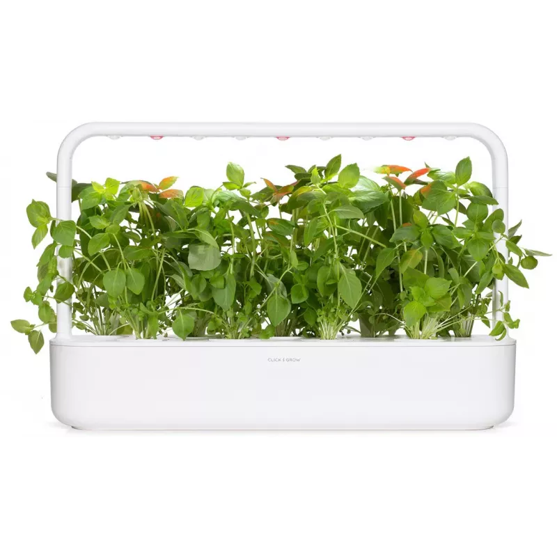 Click & Grow citrininių bazilikų augalų kapsulės Smart Garden sodui, 3 vnt. (SGR76X3)