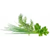 Click & Grow Plant Pod Classic Garnish Mix, 9 vnt. (PPMCGX9)