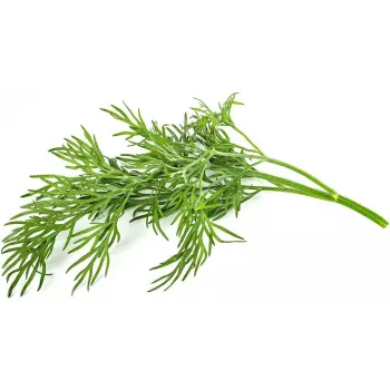 Click & Grow SGR49x3 krapų sėklų kapsulės 3 vnt. papildymas