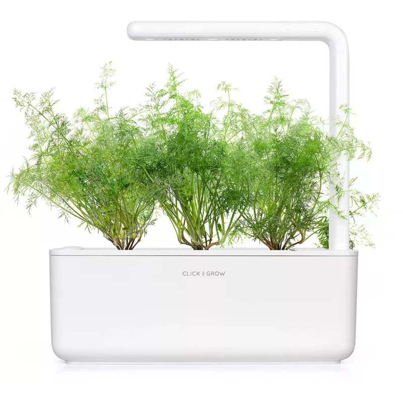 Click & Grow SGR49x3 krapų sėklų kapsulės 3 vnt. papildymas