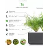 Click & Grow SGR49x3 krapų sėklų kapsulės 3 vnt. papildymas