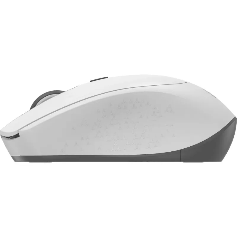 Accura Laurel ACC-M1053 tylus belaidis kompiuterio pelė, balta