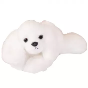 LEAN TOYS Maltos bišono minkštas žaislas su svorio letenėlėmis baltas 30cm