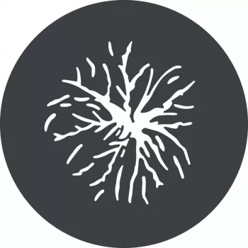 Godox GP GS2 Gobų rinkinys GP projekciniam priedui (6 raštų)