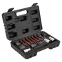 NEO TOOLS Generatoriaus laisvos eigos skriemulio nuėmimo rinkinys, 13 dalių, chromo vanadžio plienas, 1/2 colio pavara, spline/Torx/Hex antgaliai