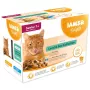 IAMS Delights Senior Land & Sea Collection in Gravy – šlapias kačių maistas – 12x85g