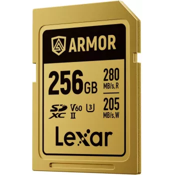Lexar Professional ARMOR GOLD SDXC UHS-II atminties kortelė, 256 GB, V60 (LSDAMGL256G-RNNNG)