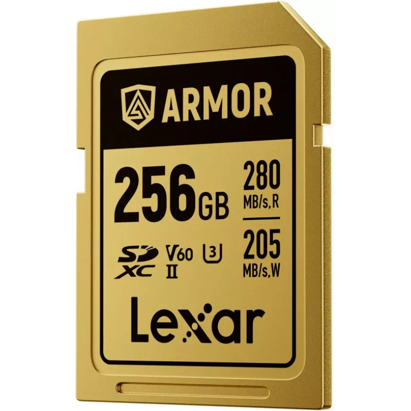 Lexar Professional ARMOR GOLD SDXC UHS-II atminties kortelė, 256 GB, V60 (LSDAMGL256G-RNNNG)