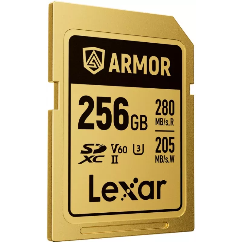 Lexar Professional ARMOR GOLD SDXC UHS-II atminties kortelė, 256 GB, V60 (LSDAMGL256G-RNNNG)