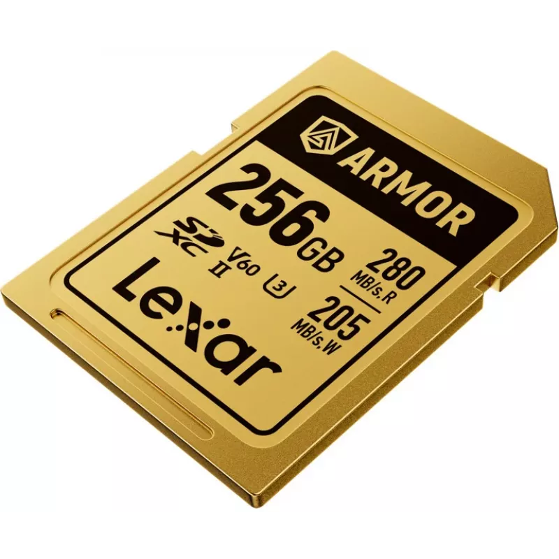 Lexar Professional ARMOR GOLD SDXC UHS-II atminties kortelė, 256 GB, V60 (LSDAMGL256G-RNNNG)