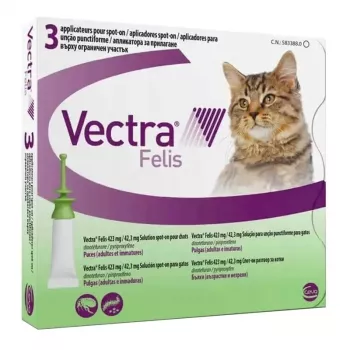 Ceva Vectra Felis 3 pipetės – lašai nuo blusų katėms