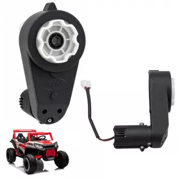 LEAN TOYS 24V variklio pavarų dėžė RPM-15000, skirta NLE-913 elektriniam vaikiškam automobiliui