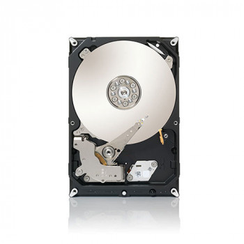 Seagate Desktop HDD ST3000DM001 3TB 3,5 colio vidinis kietasis diskas