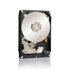 Seagate Desktop HDD ST3000DM001 3TB 3,5 colio vidinis kietasis diskas