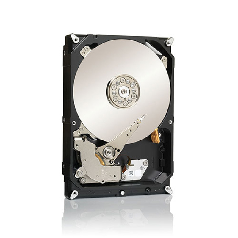 Seagate Desktop HDD ST3000DM001 3TB 3,5 colio vidinis kietasis diskas