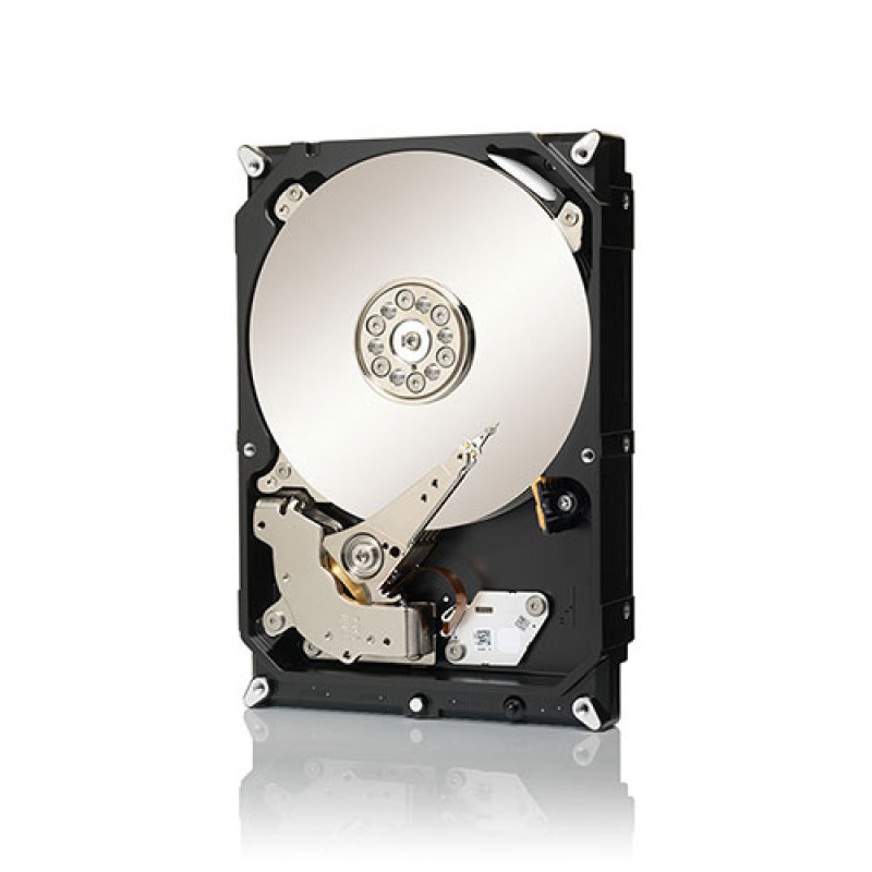 Seagate Desktop HDD ST3000DM001 3TB 3,5 colio vidinis kietasis diskas