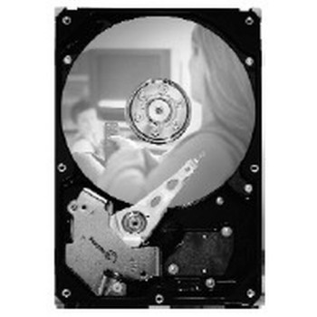 SEAGATE 250GB 3,5 colio ST3250820SCE SATA kietasis diskas