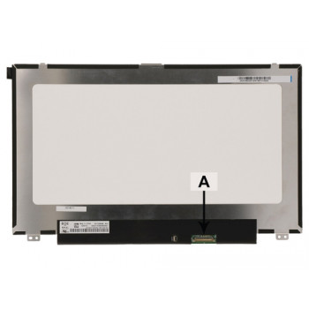 2-POWER 12,5 colio HD LED AG IPS matinis Dell 9X5G1 ekranas (2P-2HY74)