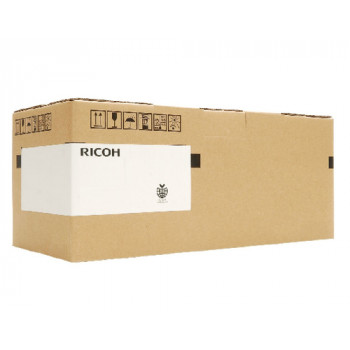 Ricoh B2050153 (B205-0153) fotolaidininko blokas aplink fotolaidininką: R-C